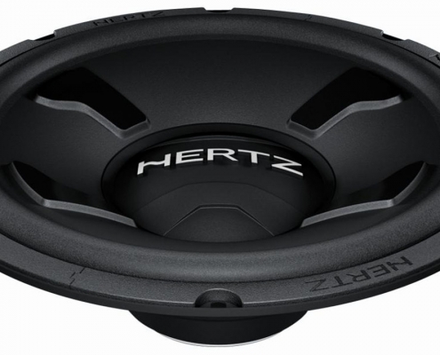 SUBWOOFER HERTZ 10" DS25.3.