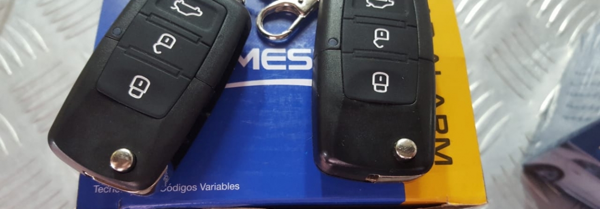ALARMA NEMESIS